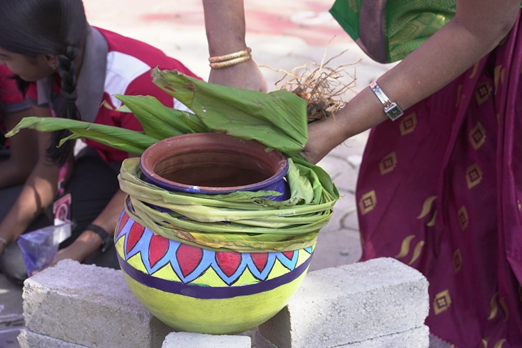 PONGAL CELEBRATION-2024